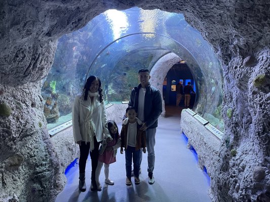 ABQ BioPark Aquarium by null