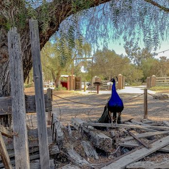 Leo Carrillo Ranch Historic Park - Landmarks & Historical Buildings Near Me - Carlsbad, California