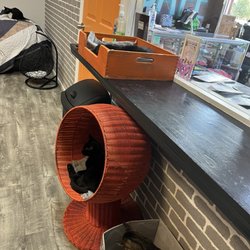 Fat Cat Café