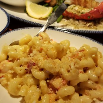 Red Lobster - truffle lobster mac n cheese - Seafood Near Me - Tucson, Arizona Red Lobster - truffle lobster mac n cheese - Seafood Near Me - Tucson, Arizona