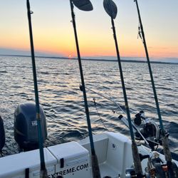 Showtime Xtreme Charters