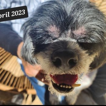 Fido Spa - Pet Groomers Near Me - Aubrey, Texas