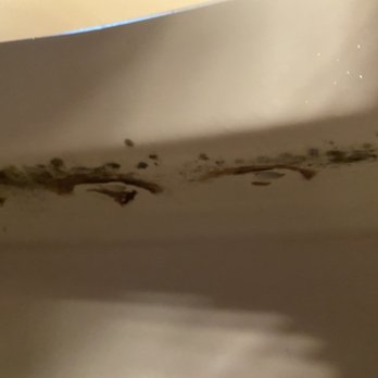 Koetje Rentals - Mold in toilet bowl - Property Management Near Me - Oak Harbor, Washington Koetje Rentals - Mold in toilet bowl - Property Management Near Me - Oak Harbor, Washington
