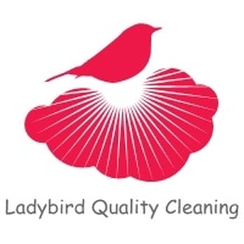 Ladybird Quality Cleaning - Ladybird quality cleaning - Home Cleaning Near Me - New York, New York Ladybird Quality Cleaning - Ladybird quality cleaning - Home Cleaning Near Me - New York, New York