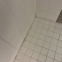 Gross moldy shower. Gross moldy shower.