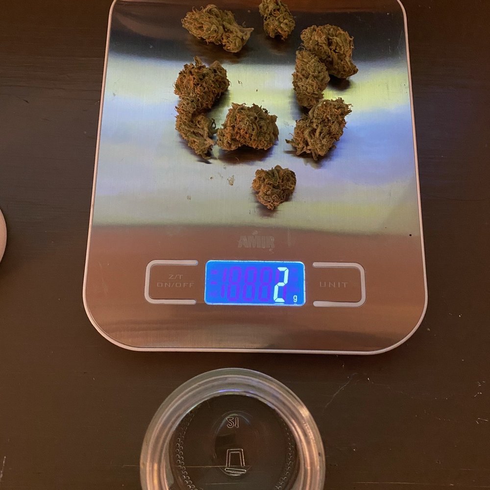 LAX CC - Missing product. - Cannabis Clinics Near Me - Los Angeles, California LAX CC - Missing product. - Cannabis Clinics Near Me - Los Angeles, California