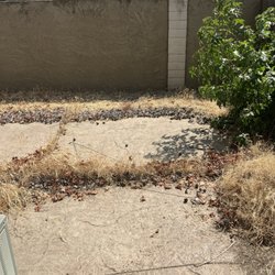 Right Way Curb Appeal - Back yard prior to clean up