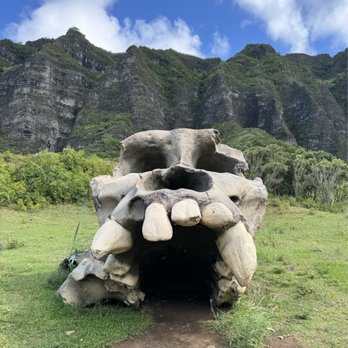 Kualoa Ranch - Tours Near Me - Kaneohe, Hawaii