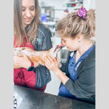 Parker Animal Care - Kisses from patients to technicians. - Veterinarians Near Me - Austin, Texas Parker Animal Care - Kisses from patients to technicians. - Veterinarians Near Me - Austin, Texas