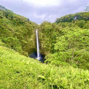 Akaka Falls State Park - Parks Near Me - Honomu, Hawaii Akaka Falls State Park - Parks Near Me - Honomu, Hawaii