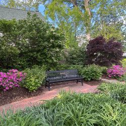 kitty pozer park