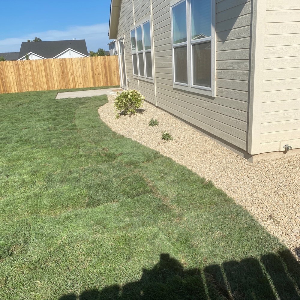 Paradise Landscapes - Lawn with plants. Again we had to do the minimum for the CCR's! - Lawn Services Near Me