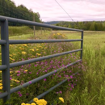 Pond Hill Farm - Cafes Near Me - Harbor Springs, Michigan Pond Hill Farm - Cafes Near Me - Harbor Springs, Michigan