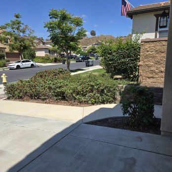 Golden Oaks Tree Care - After - Tree Services Near Me Golden Oaks Tree Care - After - Tree Services Near Me