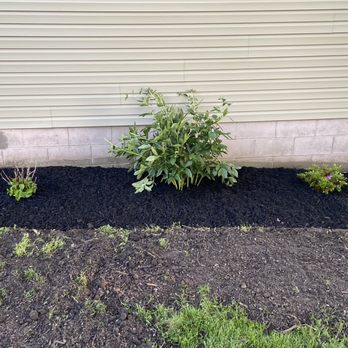 Fili Property Maintenance - After picture - Landscaping Near Me - Louisville, Ohio
