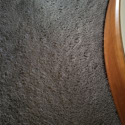 Pierce Flooring & Design - Cat Pawprints