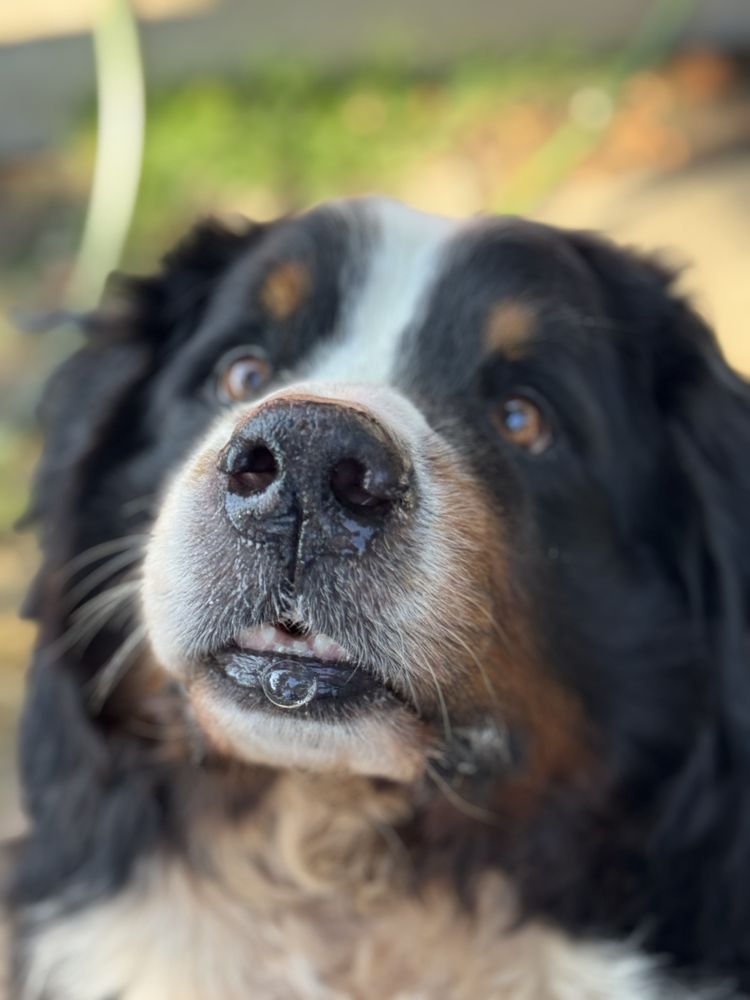 o Jupiter Florida Real Estate For Sale