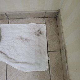 Filthy bathroom floor