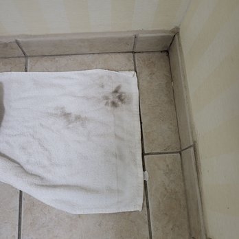 Fairfield by Marriott Inn & Suites Columbia Northeast - Filthy bathroom floor - Hotels Near Me - Columbia, South Carolina