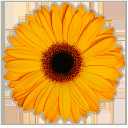Keeping It Clean - Keeping It Clean Home and Office Cleaning Solutions http:/www.1keepingitclean.com