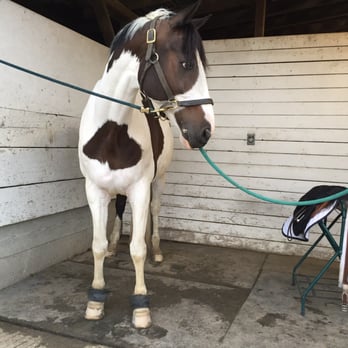 Willowcrest Stables - Single cross-tie available for your horse - Horse Boarding Near Me - Redmond, Washington Willowcrest Stables - Single cross-tie available for your horse - Horse Boarding Near Me - Redmond, Washington