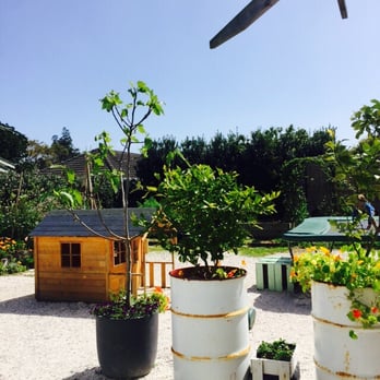 Little and Friday - Beautiful garden outside - Coffee & Tea Near Me - Auckland, AUK Little and Friday - Beautiful garden outside - Coffee & Tea Near Me - Auckland, AUK