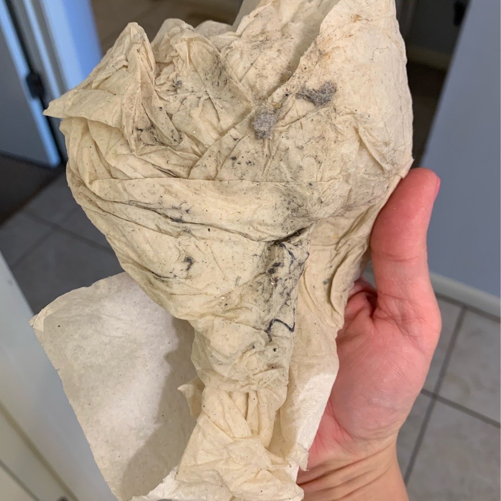 Carolina Beach Realty - Wiped the bathroom counter upon arrival and this is what came up - Vacation Rentals Near Me - Carolina Beach, North Carolina Carolina Beach Realty - Wiped the bathroom counter upon arrival and this is what came up - Vacation Rentals Near Me - Carolina Beach, North Carolina