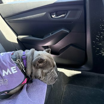 FRONT STREET ANIMAL SHELTER - Updated February 2026 - 475 Photos & 422