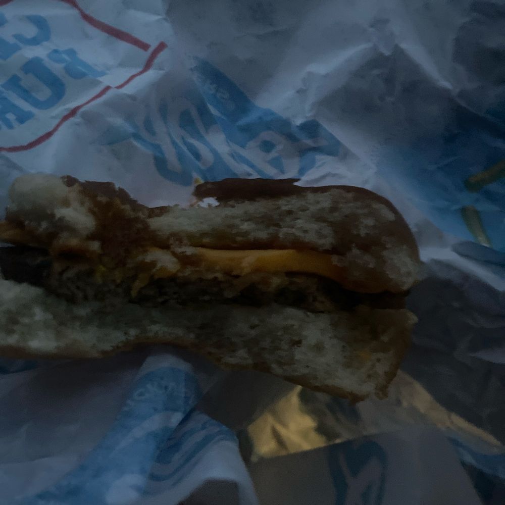 Worst burger in my life!