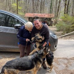 Rippling Water Kennel - Macon County German Shepherd Rescue and "Nose" the S&R dog with our found after 3 days in the wild pup, Lady. Love them!