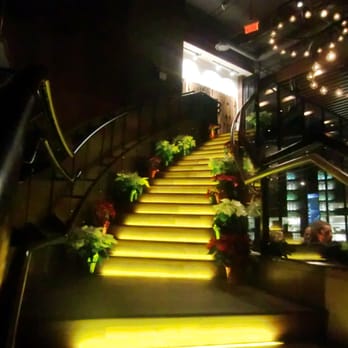 Earls Kitchen + Bar - the yellow brick (light) road to the restroom, above the bar and dining rooms! decorated with poinsettas! - Canadian (New) Near Me - Vancouver, British Columbia Earls Kitchen + Bar - the yellow brick (light) road to the restroom, above the bar and dining rooms! decorated with poinsettas! - Canadian (New) Near Me - Vancouver, British Columbia