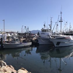 Bermagui Fishermen's Wharf - View from the outdoor seating area