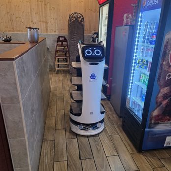Honey Bee Asian Bistro - And one of the robots that will bring the food to the table - Chinese Near Me - Aurora, Colorado