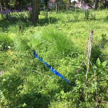 Advanced Pools & Technology - Water hose extending into my backyard. - Pool & Hot Tub Service Near Me - Battle Creek, Michigan Advanced Pools & Technology - Water hose extending into my backyard. - Pool & Hot Tub Service Near Me - Battle Creek, Michigan