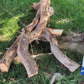 Treidgen Industries - HUGE tree roots that were lifting my sidewalk. - Pressure Washers Near Me Treidgen Industries - HUGE tree roots that were lifting my sidewalk. - Pressure Washers Near Me