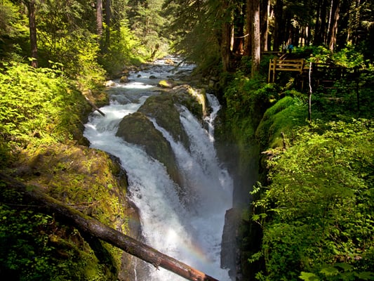 Sol Duc Hot Springs Resort by null