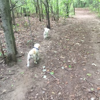 Conroy Pit - Dog Parks Near Me - Ottawa, Ontario
