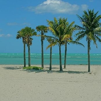 Bill Baggs Cape Florida State Park - Parks Near Me - Key Biscayne, Florida