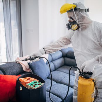 Polaris Pest Control - Pest Control Near Me - Albuquerque, New Mexico