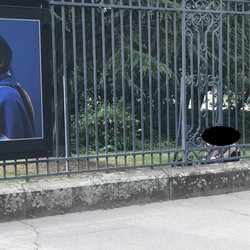 Le Jardin de la Mairie - Jardins de la Mairie