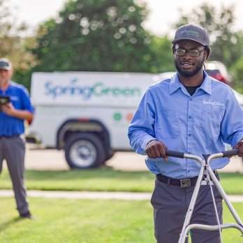 SpringGreen - Tree Services Near Me - Peoria, Illinois SpringGreen - Tree Services Near Me - Peoria, Illinois