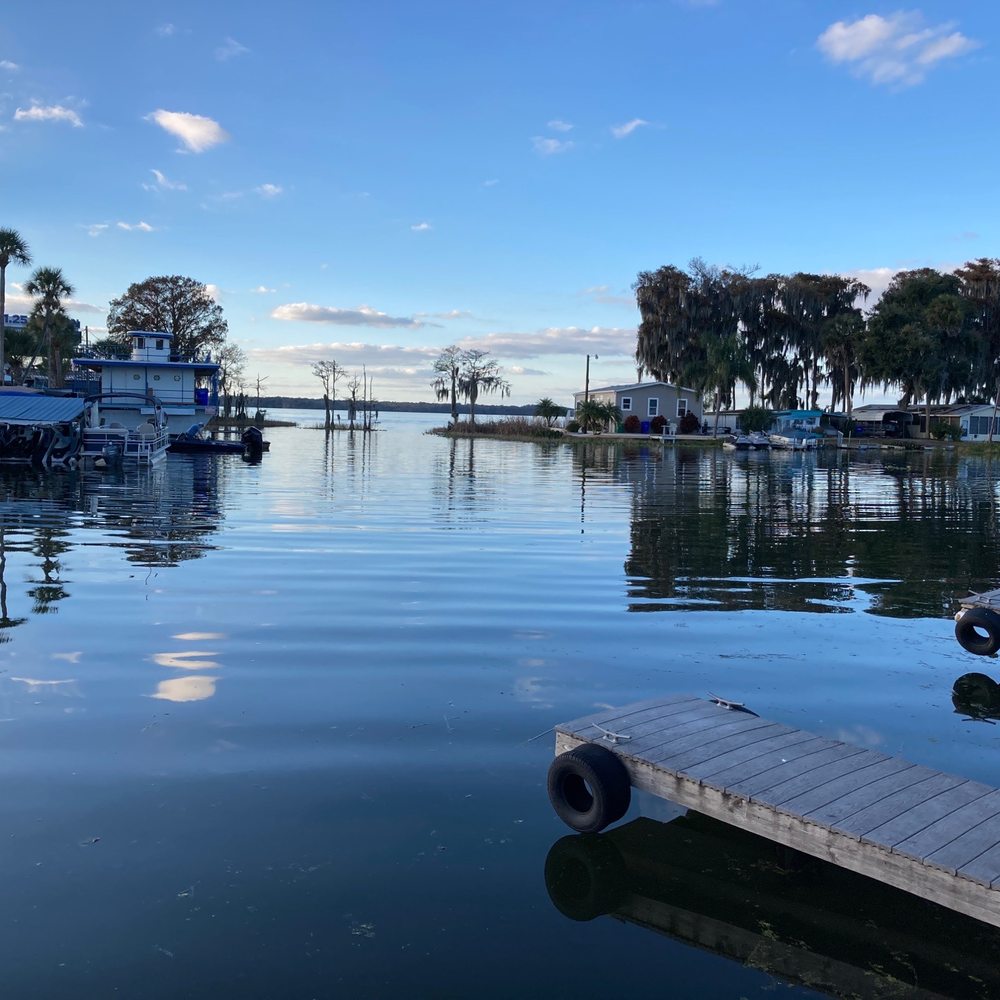 Fish Camp On Lake Eustis - Seafood Near Me - Tavares, Florida