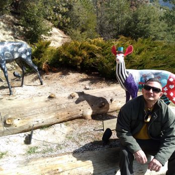 The Idyllwild Bunkhouse - Hotels Near Me - Idyllwild, California The Idyllwild Bunkhouse - Hotels Near Me - Idyllwild, California