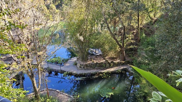 Cedar Lakes Woods and Gardens by null