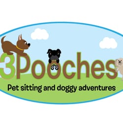 3 Pooches Pet Sitting & Doggy Adventures