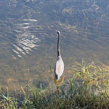 Pine Island Ridge - Parks Near Me - Davie, Florida