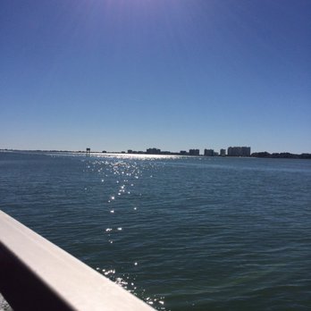 Encounter With Dolphins - BEAUTIFUL GULF - Boating Near Me - Clearwater, Florida Encounter With Dolphins - BEAUTIFUL GULF - Boating Near Me - Clearwater, Florida