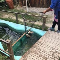 Rancho Mojarra - Las pescan en el momento :O