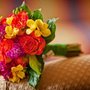 Photo of Bloom-the Art of Flowers