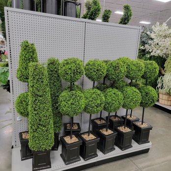 At Home - Greenery - Home Decor Near Me - Sacramento, California At Home - Greenery - Home Decor Near Me - Sacramento, California